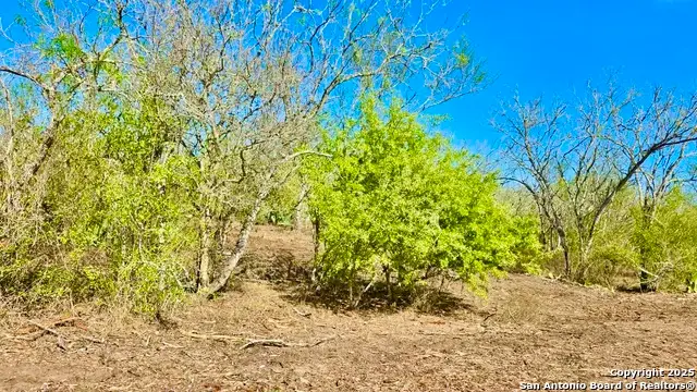 0 County Road 107, Runge, TX 78151 - Image #2