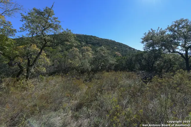 286 Private Road 1733, Mico, TX 78056 - Image #1