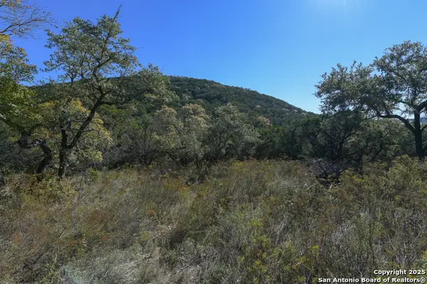 286 Private Road 1733, Mico, TX 78056