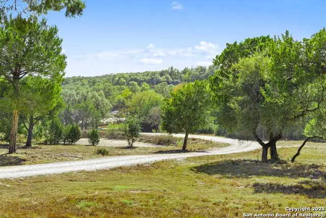 1151 Fawn Valley Dr, Canyon Lake, TX 78133 - #3