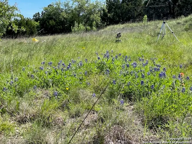 3788 Byrd Ranch Rd, Johnson City, TX 78636 - Image #2