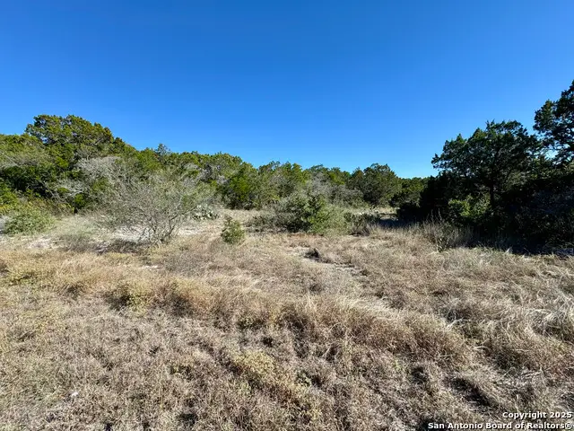 LOT 182 County Road 2816, Mico, TX 78056 - Image #3