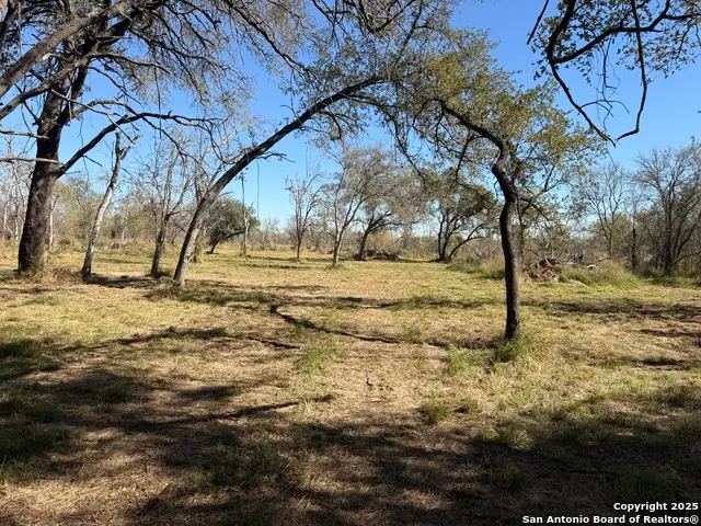 TBD Gidley, Atascosa, TX 78002 - Image #2
