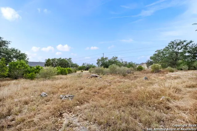 137 Red Tail Cv, Spring Branch, TX 78070 - Image #1