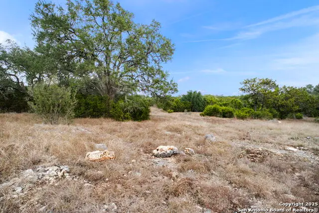 137 Red Tail Cv, Spring Branch, TX 78070 - Image #3