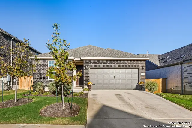 436 Basket Grass, San Marcos, TX 78666 - Image #3