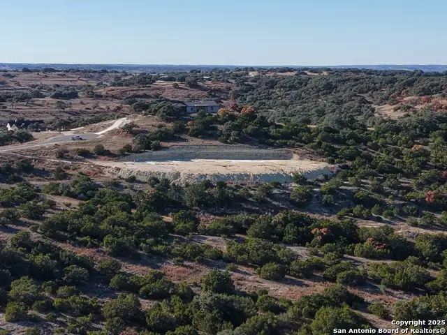 466 Majestic Oak, Blanco, TX 78606 - Image #3