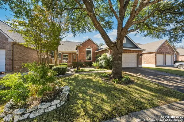 2034 Thicket Trail, San Antonio, TX 78248