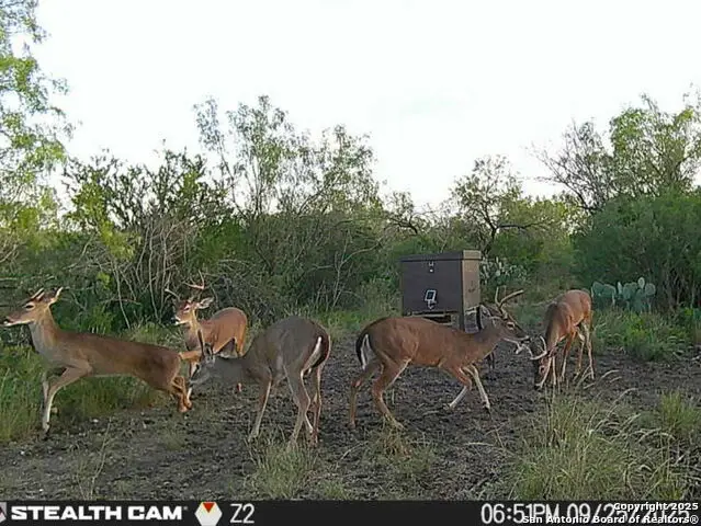 A-735 Franklin Ranch Road, Tilden, TX 78072 - Image #2