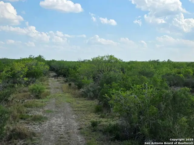 A-735 Franklin Ranch Road, Tilden, TX 78072 - Image #3