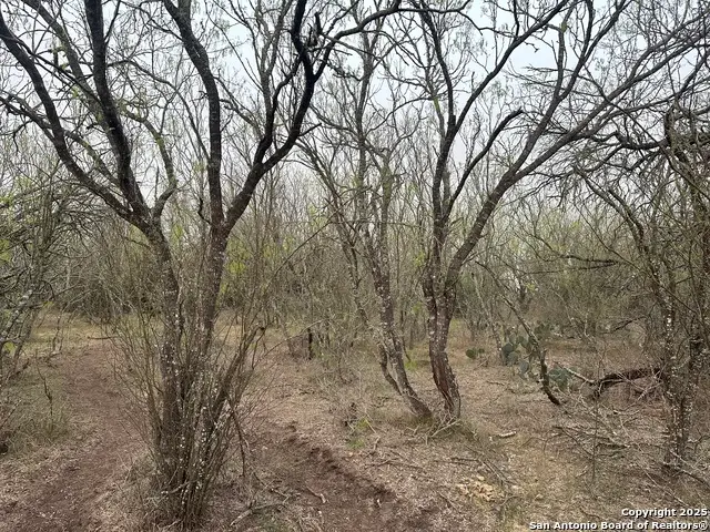 982 Ilka Switch, Seguin, TX 78155 - Image #3