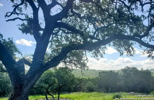 12033 Summer Meadows, Spring Branch, TX 78070