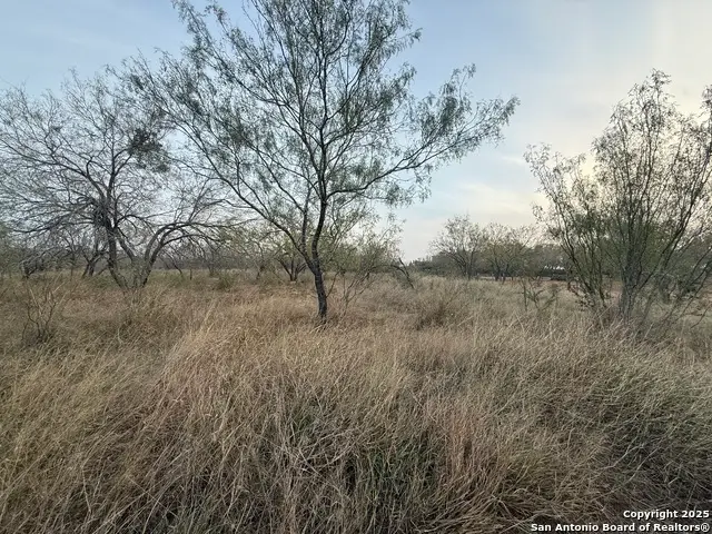 113 Cr 2672, Devine, TX 78016 - Image #2