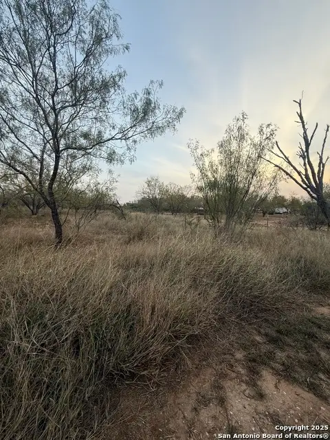 113 Cr 2672, Devine, TX 78016 - Image #3