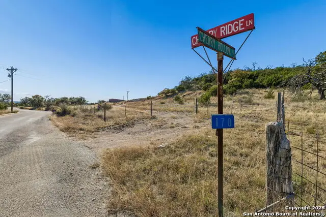 944 Metzger, Fredericksburg, TX 78624 - Image #3