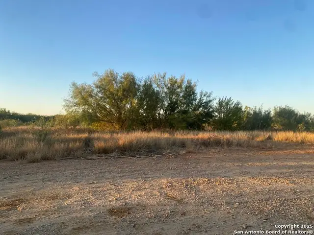 117 W Fm, Dilley, TX 78017 - Image #3