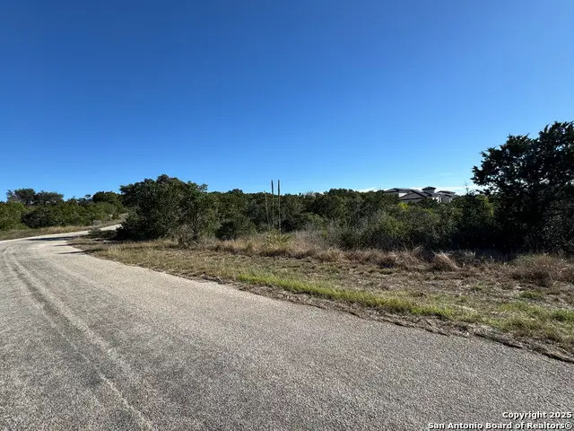 LOT 193 County Road 2801, Mico, TX 78056 - Image #1