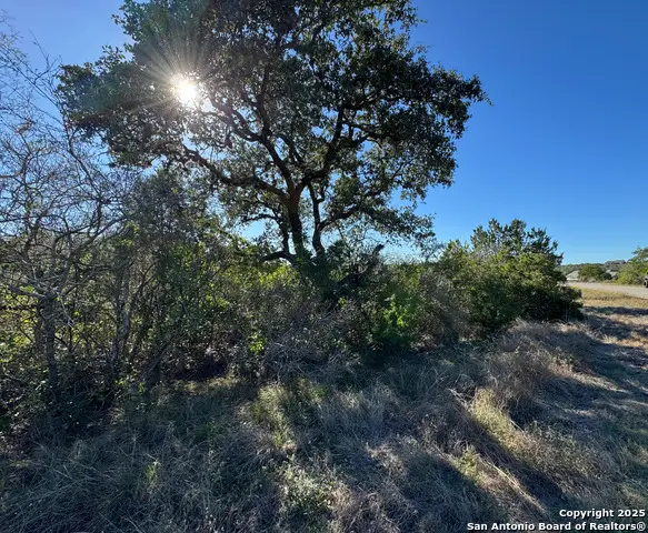 LOT 193 County Road 2801, Mico, TX 78056 - Image #3