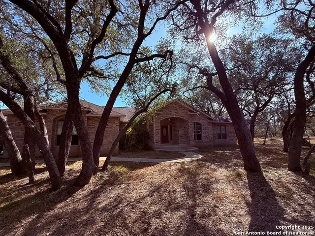 250 Palomino, Natalia, TX 78059 - Image #1