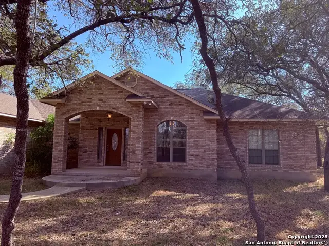 250 Palomino, Natalia, TX 78059 - Image #2