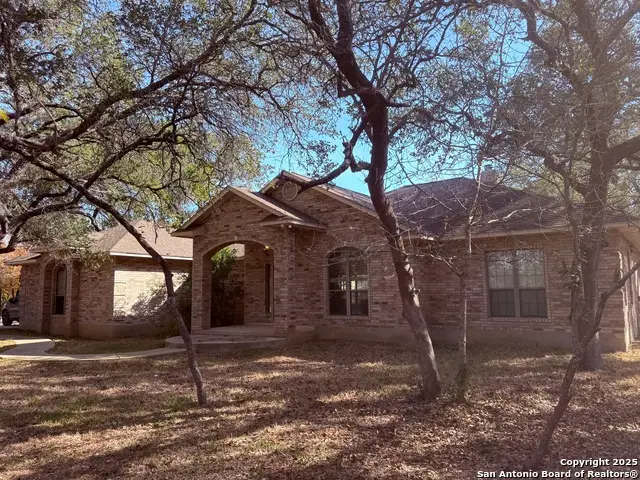 250 Palomino, Natalia, TX 78059 - Image #3