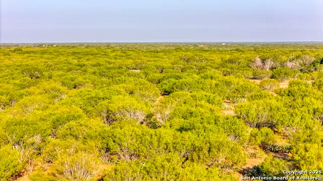 5 Cr 331 E, Jourdanton, TX 78026 - Image #2
