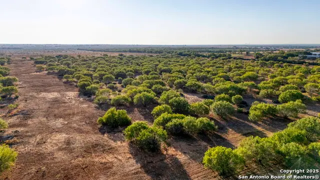 5 Cr 331 E, Jourdanton, TX 78026 - Image #3