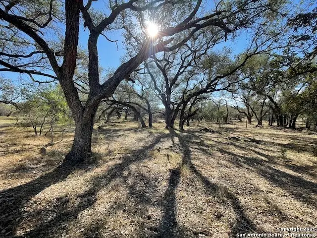 1384 County Road 326, Adkins, TX 78101 - Image #2