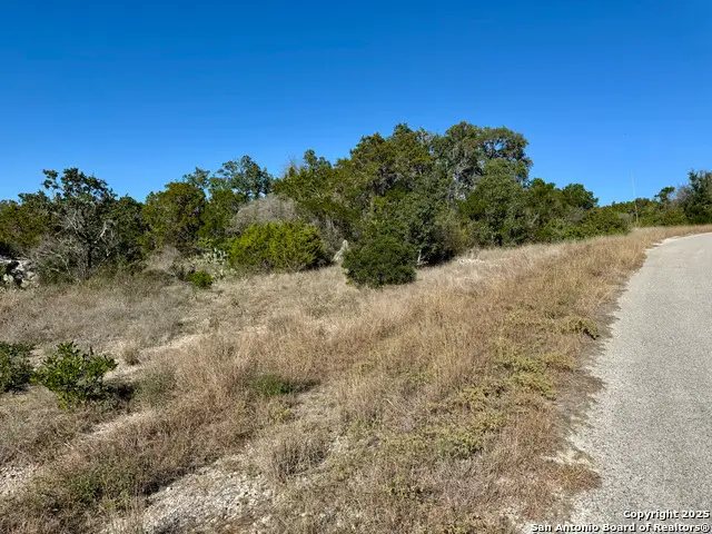 LOT 189 County Road 2816, Mico, TX 78056 - Image #1