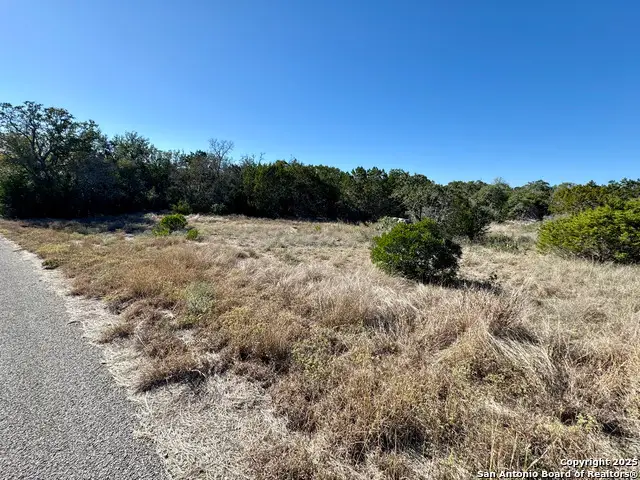 LOT 189 County Road 2816, Mico, TX 78056 - Image #2