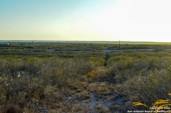 TBD Live Oak Spur, George West, TX 78022