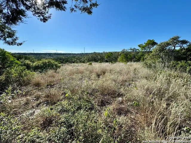 LOT 31 W Cr 2801, Mico, TX 78056 - Image #2