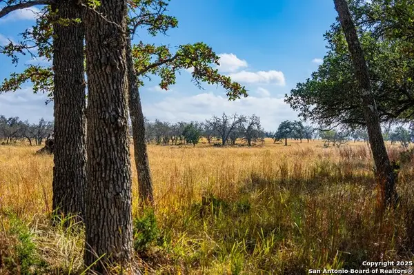 LOT 12 Turn Out Ln, Harper, TX 78631