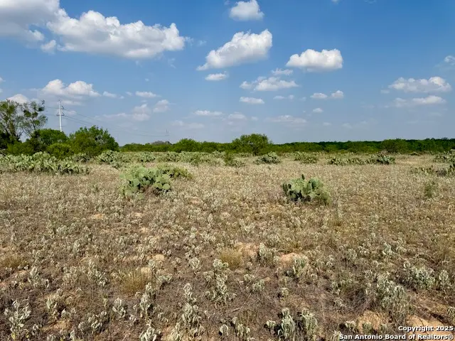 TBD LOT 61 E Cr 1647, Moore, TX 78057 - #1