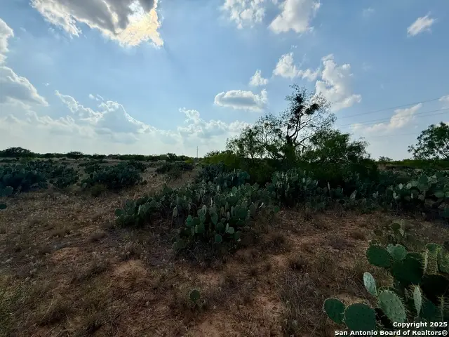 TBD LOT 61 E Cr 1647, Moore, TX 78057 - #2