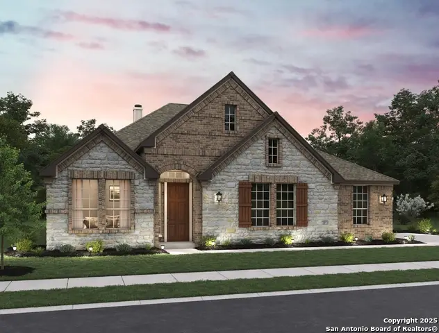 10891 Chestnut Warbler, New Braunfels, TX 78132 - Image #1