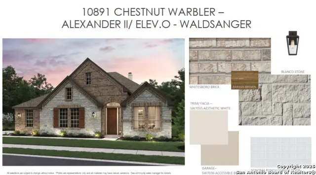 10891 Chestnut Warbler, New Braunfels, TX 78132 - Image #2