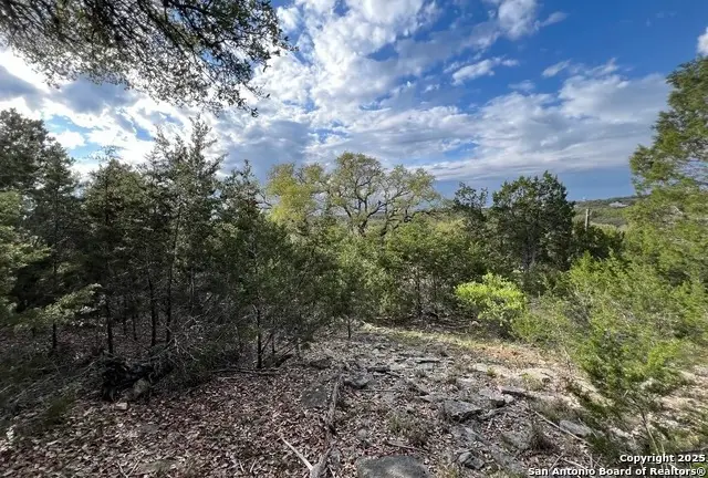 198 Sitting Bull Trl, Canyon Lake, TX 78133 - #3