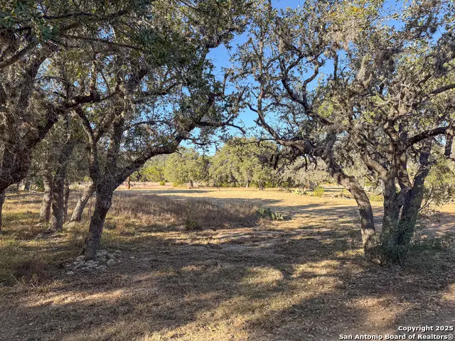 235 Baptist Lane, Tarpley, TX 78883 - Image #3