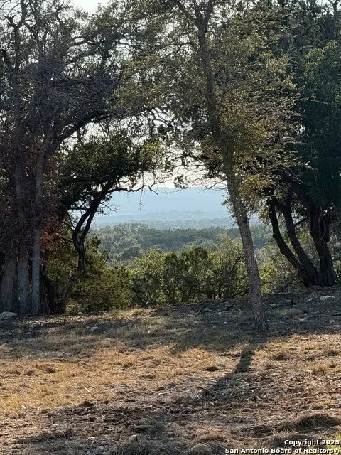 659 Butler Oaks, Bulverde, TX 78163 - Image #2