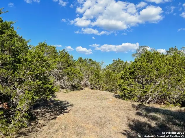 TBD Saddle, Bandera, TX 78003 - Image #1