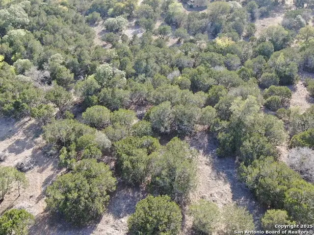 TBD Saddle, Bandera, TX 78003 - Image #3