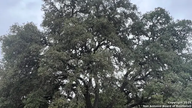 LOT 24 Heinen Circle, Bandera, TX 78003 - Image #2