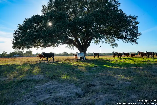 1038 Old Goliad, Goliad, TX 77963 - Image #3