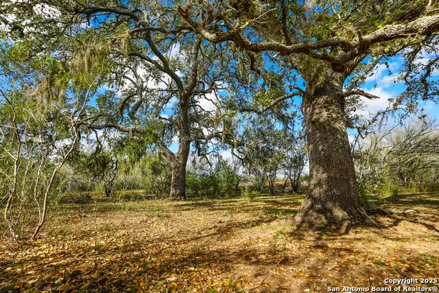 0 Cr 115, Pettus Pawnee, TX 78119 - Image #2