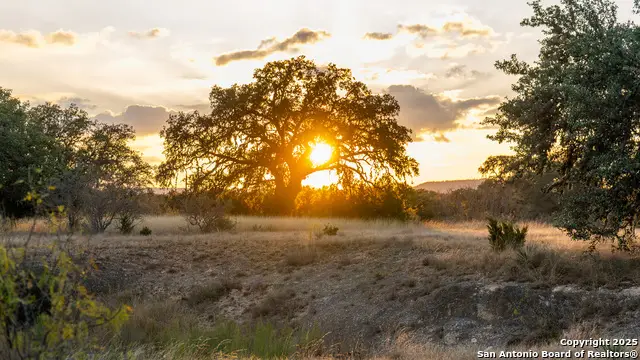 1593 County Road 354, Utopia, TX 78884 - Image #1