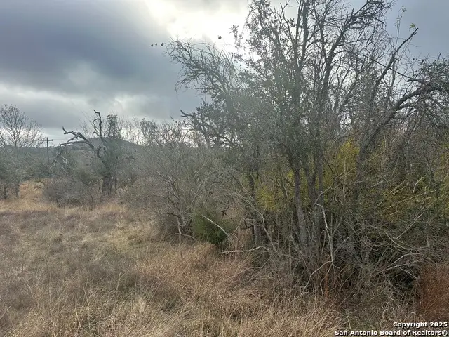 119 Platten Creek, Boerne, TX 78006 - Image #2