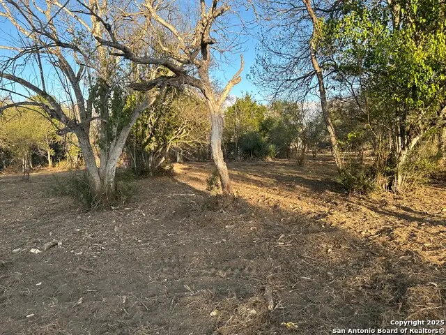 11803 Pomeroy, San Antonio, TX 78233 - Image #3