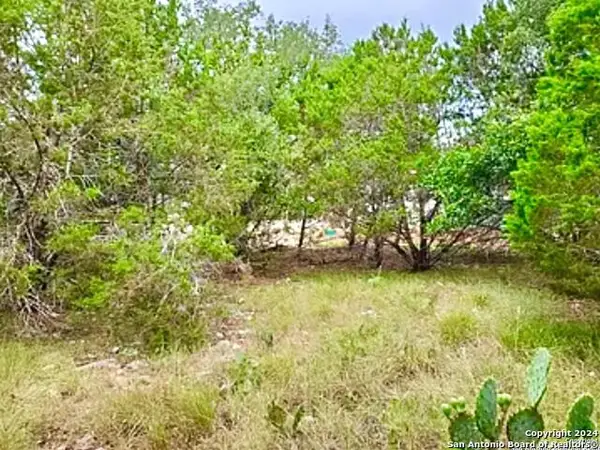 119 N John Bird, Blanco, TX 78606