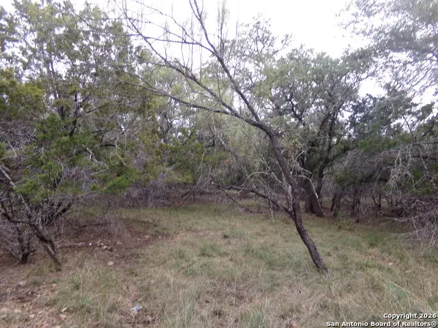 885 Mountain Valley Drive, Concan, TX 78838 - Image #2